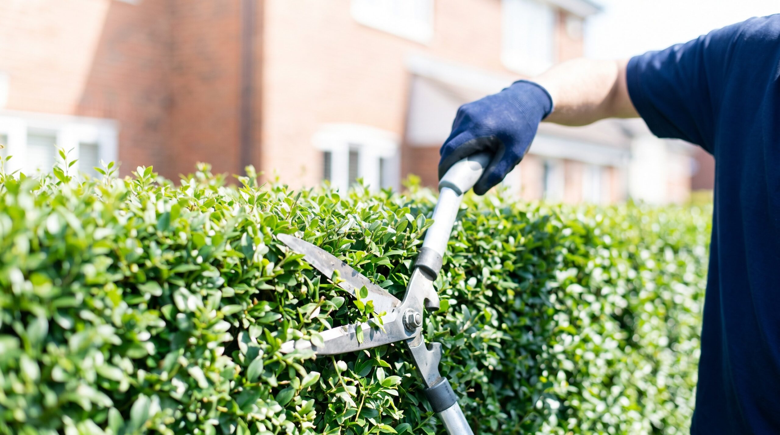Hausmeisterservice Gartenpflege Heckenschnitt